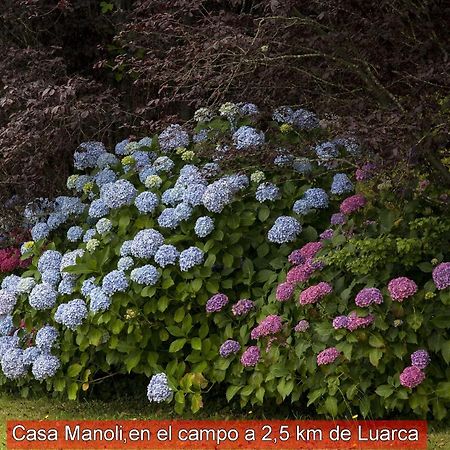 منزل الضيف Almuña  في Casa Manoli Luarca المظهر الخارجي الصورة